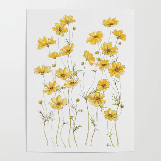 Discover Yellow Cosmos Flowers Poster