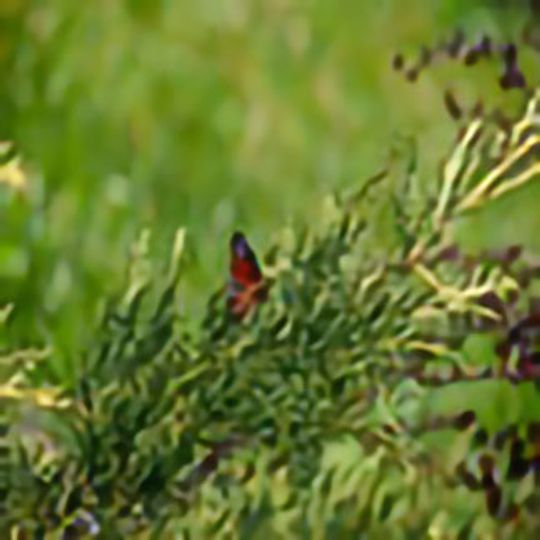 V