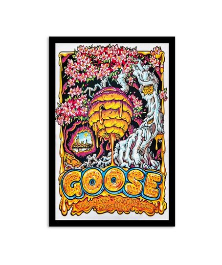 Discover Goose Jun 29 2024 Forest Hills Stadium in Forest Hills NY Poster
