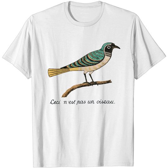 Discover Birds Aren"t Real - This is not a bird T -shirt