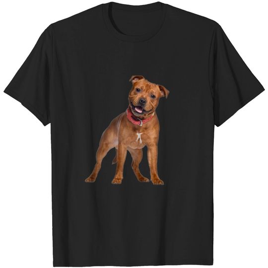 Discover Pit Bull Smile T Shirt