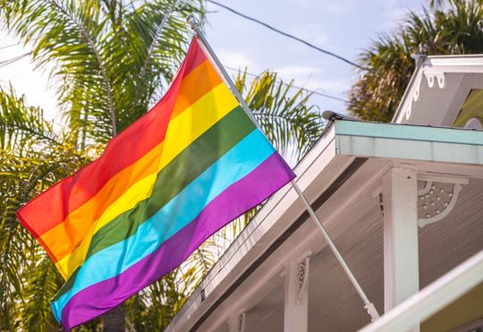 Explore House Flags Ideas