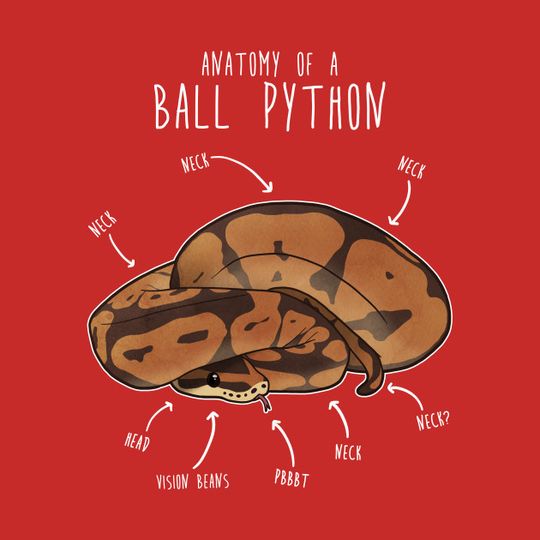 Anatomy Of A Ball Python - Snake - T-Shirt