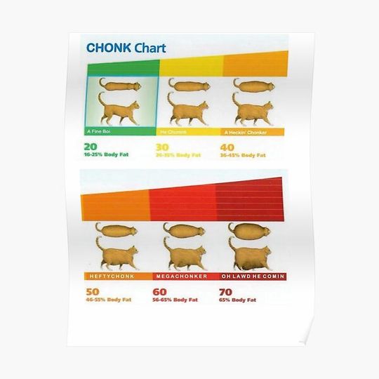 Cat Chonk Chart Meme Premium Matte Vertical Poster