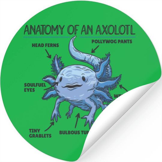 Axolotl Explanation Anatomy Of An Axolotl Stickers